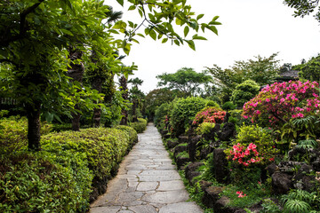 the beautiful green forest park.