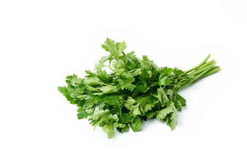 Bunch of fresh parsley with small drops of water Isolated on a white background