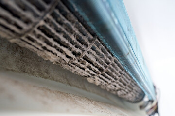 Dust and mold on the fan, radiator inside the air conditioner 