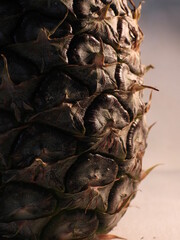 Textured pineapple skin