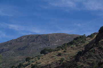Fototapeta premium krajobraz góry drzewa niebo widok szczyty