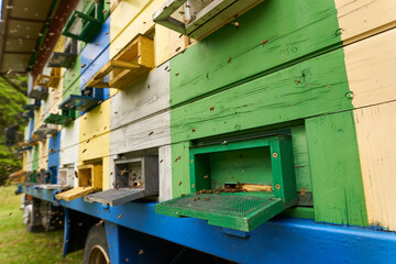 Bee hives in production mode