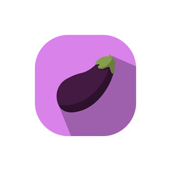 Flat design eggplant