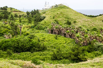 The beautiful landscape of forest and field .