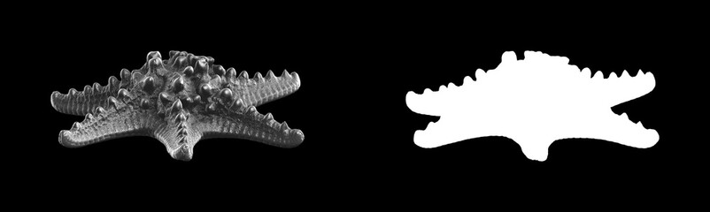 A collection of black metal sculptures on a black background for your design ideas. 3D rendering of objects that can be stylized.