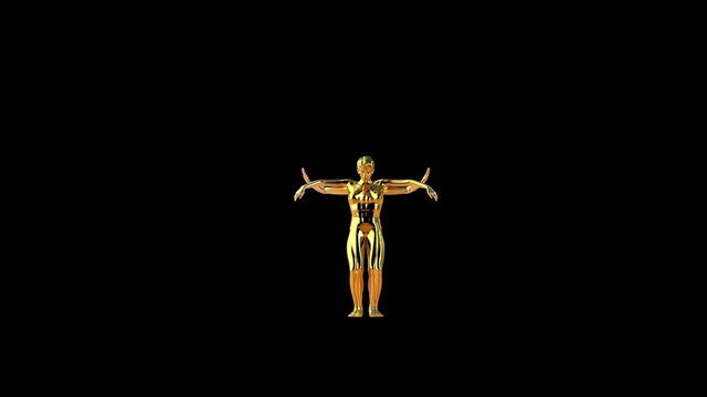 Beautiful golden woman belly dancing, hypnotical mirror moves, Luma Mate