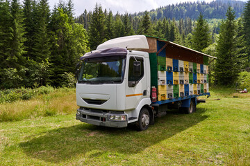 Lorry with bee hives