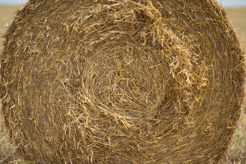 Close up image of big round yellow straw bales after harvest Straw, hay collection in the summer field. Úri, Hungary - 03/07/2020
