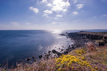 The beautiful seascape  beach and coastline.