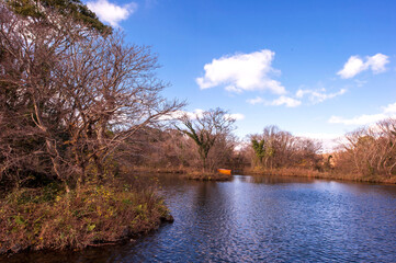 The lake landscape in spring on the background of green grass and tree.