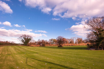 The lake landscape in spring on the background of green grass and tree.