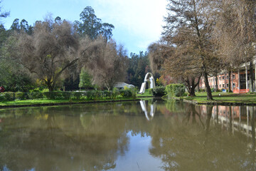 Fototapeta na wymiar duck lagoon of the University of Concepcion Chile