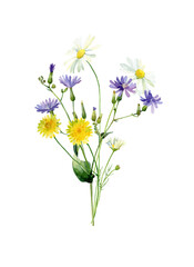 Watercolor bouquet of blue and yellow wild flowers and daisies on white background For congratulations, invitations, anniversaries, weddings, birthday