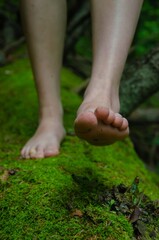 Moss female feet. Woman walks on moss. Feet Spa background.