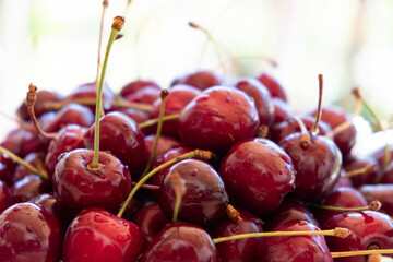 Juicy cherries with water drops, close up.