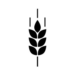 Wheat cereal icon. Fiber oat. Logo bakery. Spike wheat. Bread grain isolated on background. Seed flour barley, corn, rye, malt, bran, millet, maize, rice. Silhouette stalk ear of wheat. Sign crop