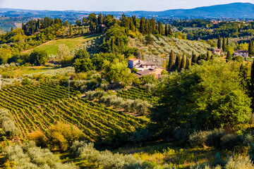 Gorgeous panoramic view of a house with a vineyard and an olive tree orchard surrounded by trees at the typical agricultural Tuscan countryside of the medieval hill town San Gimignano, Italy.