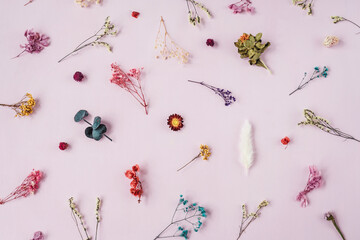 Beautiful floral pattern from dried flowers on pink, autumn concept. Little meadow multicolored flowers.