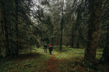 Obraz premium A group of people in a forest