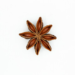 Star anise. Illicium is a genus flowering plants treated as part of the family Schisandraceae.