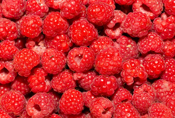 Background of ripe red raspberries. Vitamin Dessert.