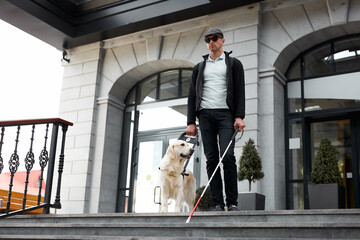 guide dog helps the owner down the stairs outdoors, assist man suffering from blindness
