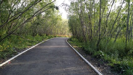 Fototapeta premium city recreation area square