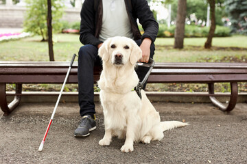 young sick man with helpful guide dog in city streets, sit having rest, man and golden retriever,...
