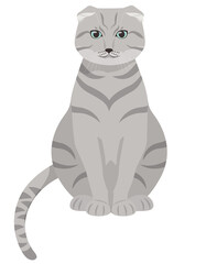 Fototapeta na wymiar Sitting Lop-eared cat. Beautiful pet in cartoon style.