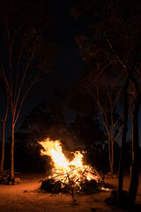 Camp fire burning in bush setting