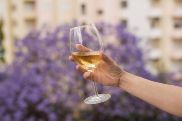 A hand holds a glass of traditional white green wine against the background of houses and a blooming jacaranda tree in Lisbon, Portugal.