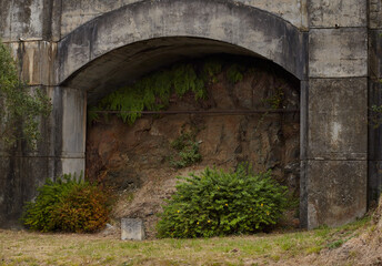 Fototapeta na wymiar Detail of fortification with green vegetation.