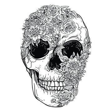 tattoo and t-shirt design black and white hand drawn skull roses premium vector