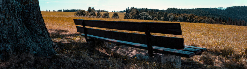 Beautiful panorama banner background of landscape in the black forest Germany, with rustic empty...