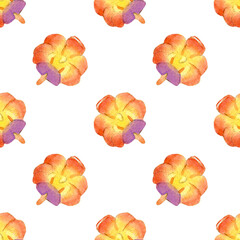 Hand drawn watercolor illustration of vanda orchid flowers isolated on white background. Seamless pattern with colorful plants. Rhynchovanda Bangkok Sunset.