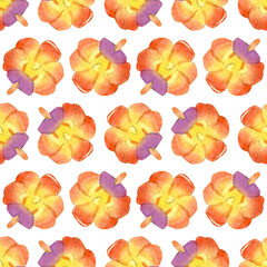 Hand drawn watercolor illustration of vanda orchid flowers isolated on white background. Seamless pattern with colorful plants. Rhynchovanda Bangkok Sunset.