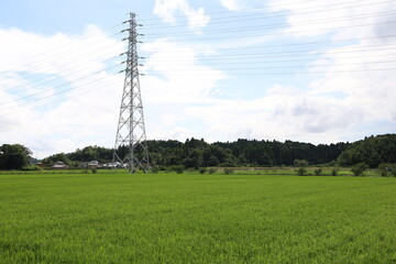 田園風景