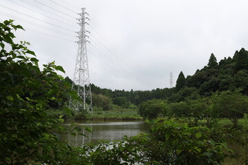 野池