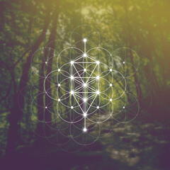 Flower of life sacred geometry illustration with intelocking circles and light dots in front of photographic background. Hipster tree of life sci fi art