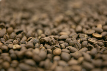 Coffee bean. A mixture of different types of coffee beans. can be used as a background
