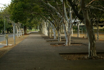 Sony DSC Alfa100