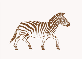 Fototapeta na wymiar Hand-drawn vector zebra, vintage illustration