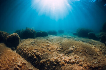 Underwater view with stones and seaweed in transparent sea. Sunlight in ocean