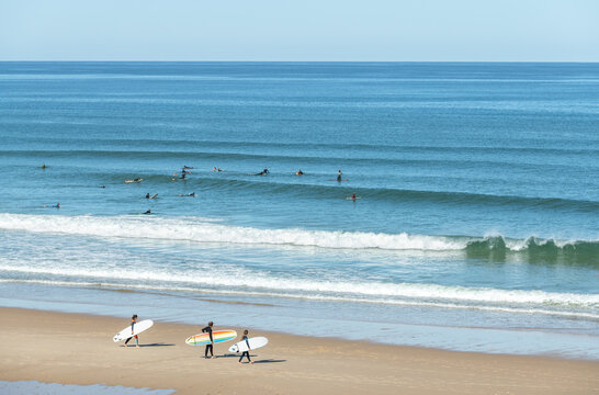 Carcans plage (Gironde, France), entre Lacanau et Hourtin sur la c&ocirc;te Atlantique