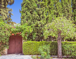 house garden behind old wooden door and green foliage fence