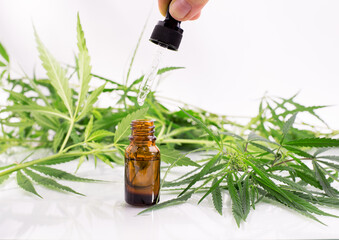 Bottle with cannabis oil against hemp leaves on a white background.