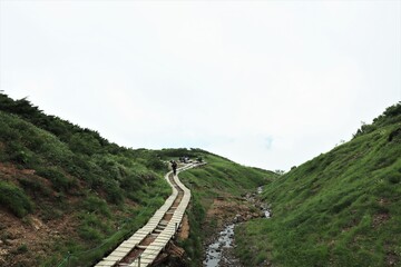 曇りの高原