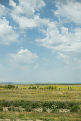 Obraz premium landscape