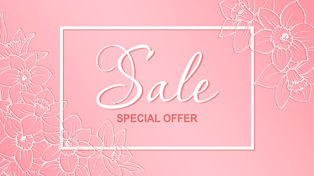Floral sale banner with soft pink background, white outline daffodils looks like openwork paper cut flowers. Vector illustration for seasonal design of banner, flyer, poster, web site.