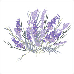 Fresh cut fragrant lavender plant flowers bunch and single, realistic icons set isolated vector illustration